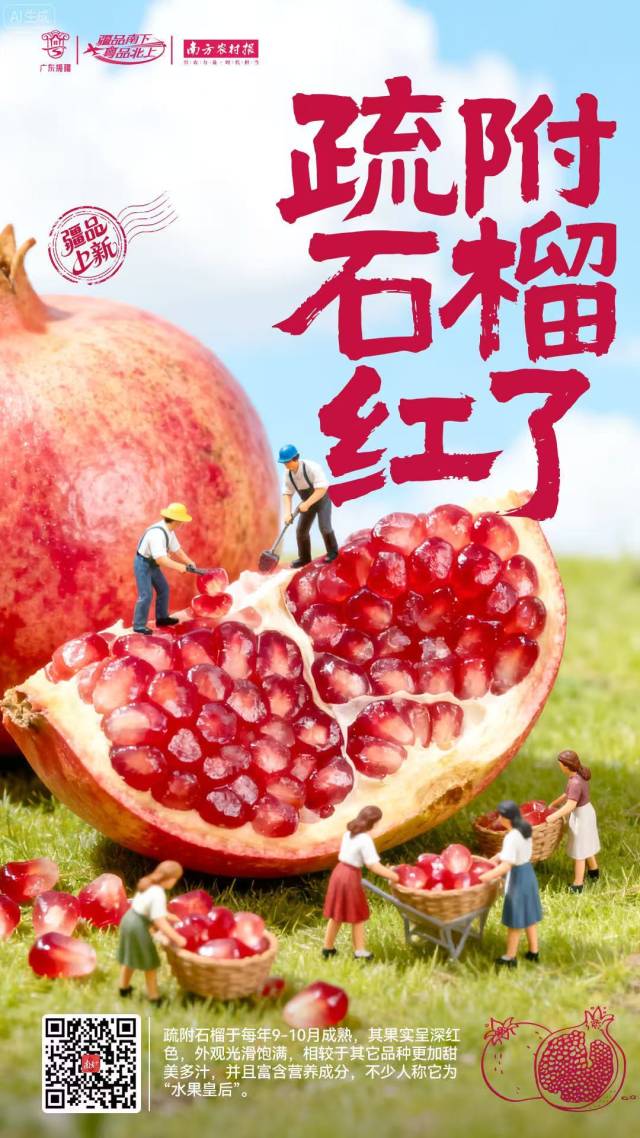 疏附石榴上新，一口尝到秋天的味道