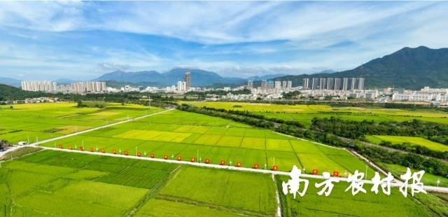 微软(MSFT.US)将Copilot深度嵌入浏览器，重塑搜索体验