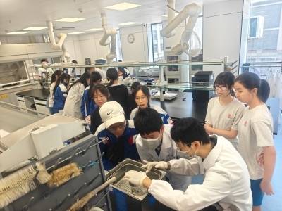 开启“碳”索奇妙之旅！江门“双碳”科普网课来了