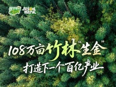 卖空气也能赚钱，肇庆广宁“小竹子”撬动大产业｜粤来粤好百千万
