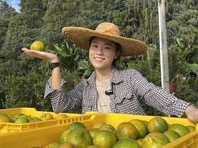 刘雪菲：99后海归博士返乡，探索陈皮产业“智”造升级｜百千万·新农人