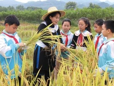 破解城乡教育发展不均衡的“清远探索”｜广东教育强省建设一线深调研