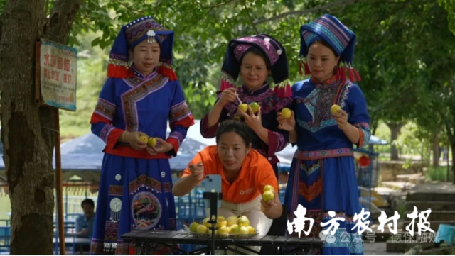 “德保数选官”劳务品牌培训赋能，许多村民开通直播带货实现“人生逆转”（图片来源：德保融媒）。