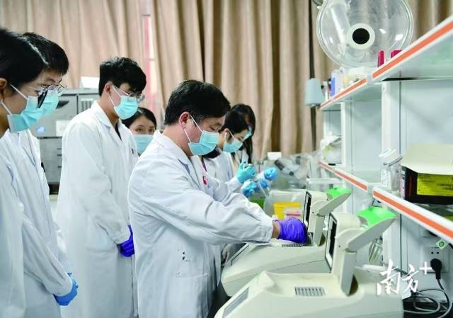 国家生猪种业工程技术研究中心主任吴珍芳带领学生开展实验。