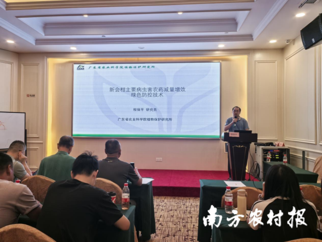胡塞武装：出动无人机3次成功袭击以色列，实现既定打击目标