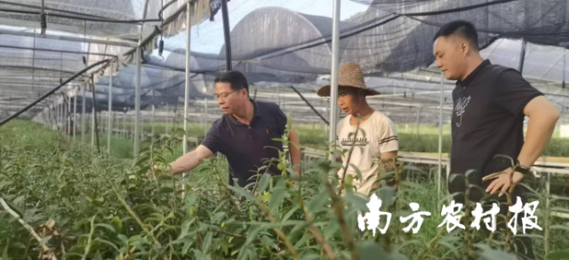 高文忠（左一）走访企业。