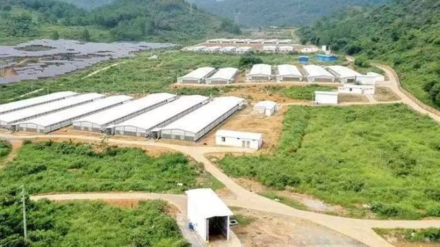 温氏育种公司现代化育种基地。