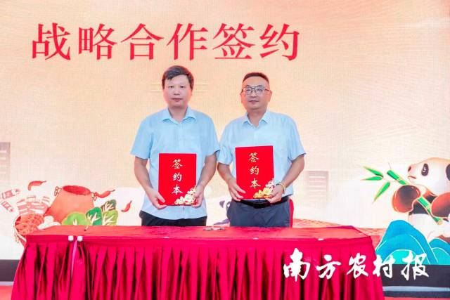 全民国家安全教育日宣传兴业银行合肥分行在行动