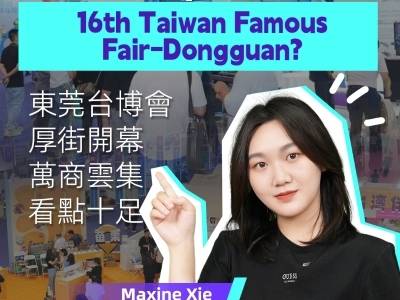 逛展Vlog｜东莞台博会四天连展，台商云集看点十足