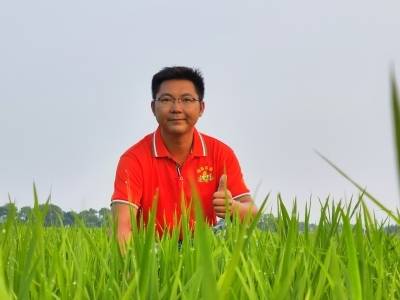 陈奭荣：外贸人回乡当起了“稻田守望者”｜百千万·新农人