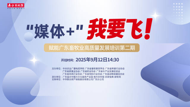 报告称美消费者警惕价格上涨 美媒：关税恐将“偷走”圣诞节