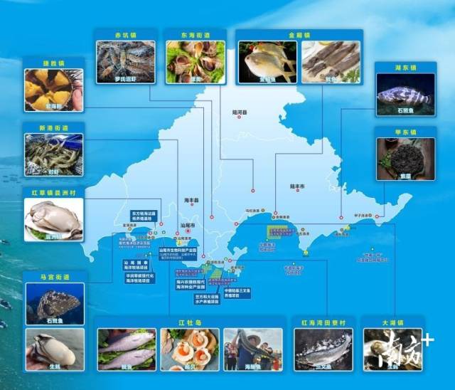 泰国撤销近万份学生签证和临时居留许可，我使馆发布提醒