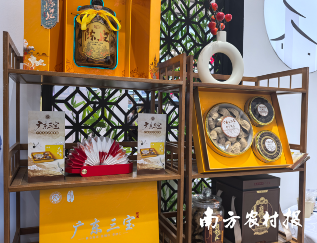 深珠低空快线开通一个月,接待乘客20余人次