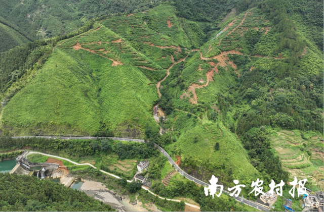 涡水镇山苍子基地航拍。