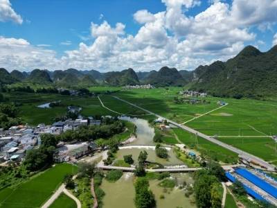 托起千家万户“稳稳的幸福”，粤桂协作绘就民生新画卷