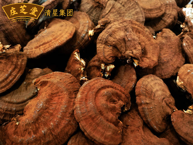 日媒分析：石破茂辞职后，谁将接棒？