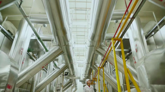 霸王花米粉生产车间。  受访者供图