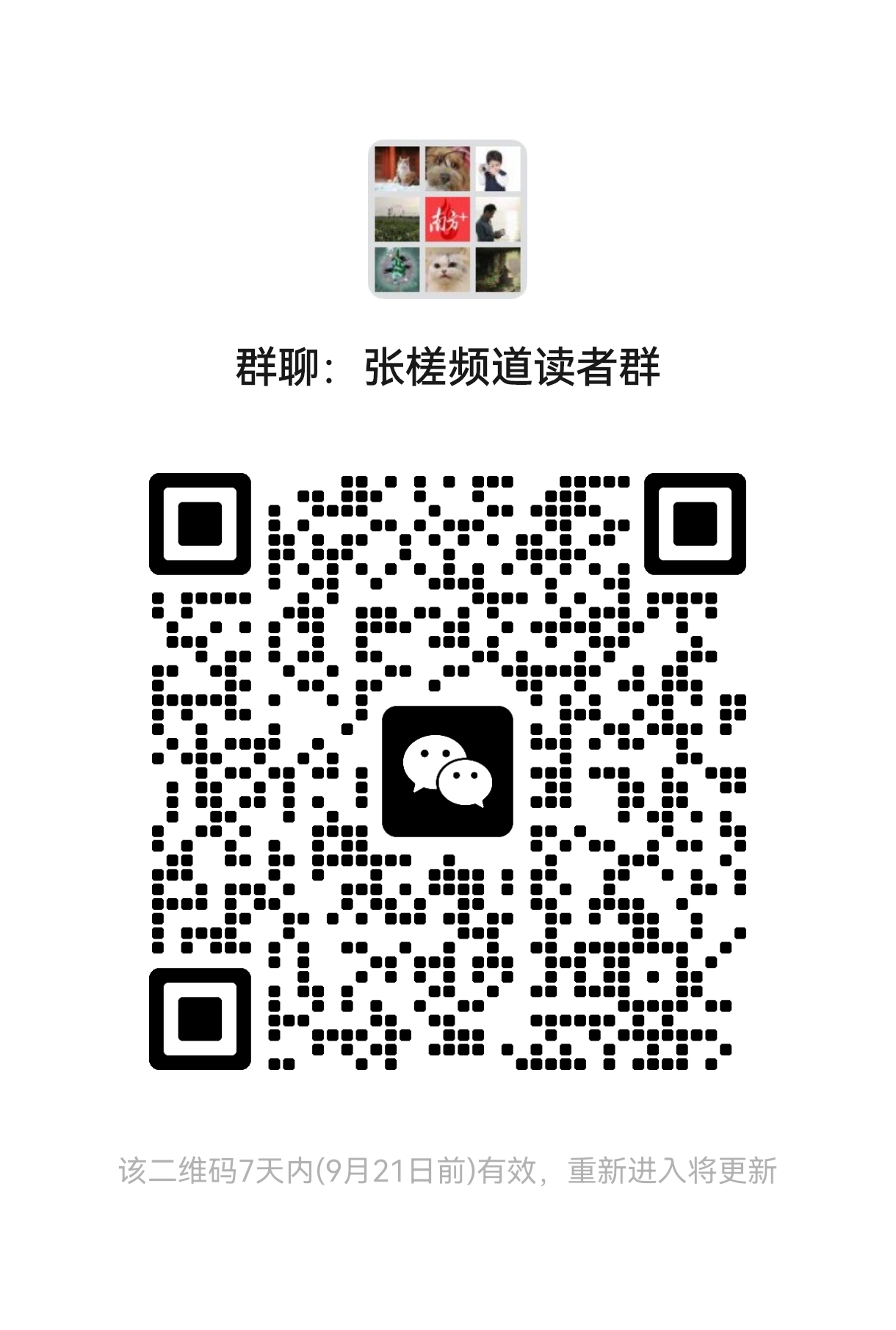 二维码 南方+ 卢浩能 拍摄