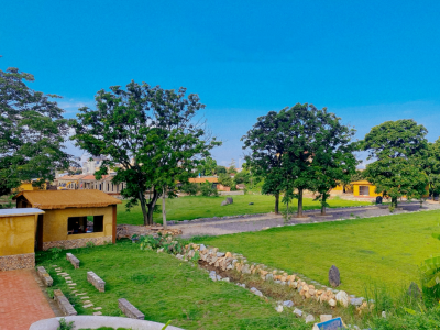 破解城乡发展难题，南沙打出“组合拳”