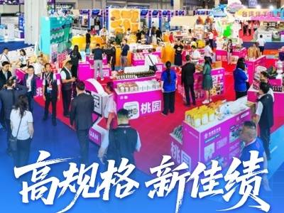 2025东莞台博会有多火？这组海报告诉你