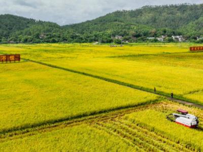 生猪“上楼”、AI“爆改”加工线，河源农业持续上“新”