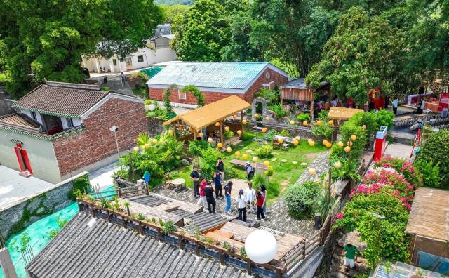 铁岗社区创新乡村运营模式，打造屋顶咖啡等新业态。（吴秒衡 摄）