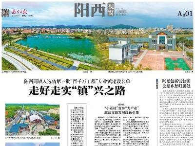 走好走实“镇”兴之路｜速览《南方日报·阳西视窗》第199期