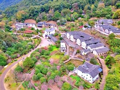 暑期梅县区乡村游“热力值”拉满：美丽乡村迸发“美丽经济”