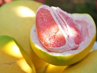 Nice to 蜜柚！梅县区的“甜蜜事业”，从枝头甜到海外