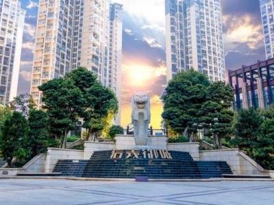 松柏社区：从“被动兜底”到“主动赋能”，党建物管专干破解治理难题