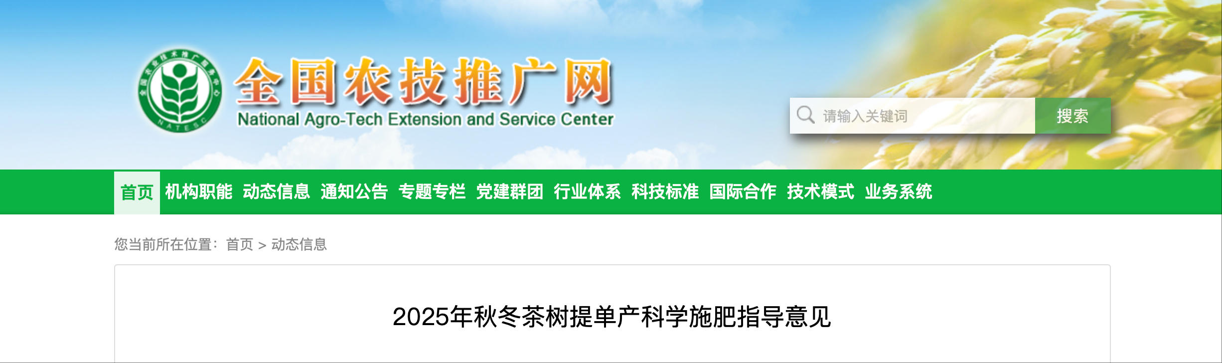 受访者供图