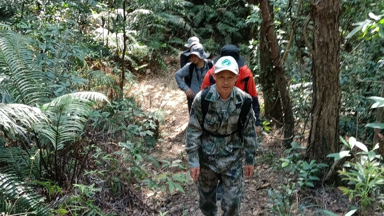 一家四代接力守护古树，广东推动全民守护古树名木