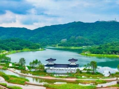 广州黄埔：执生态之笔，以美丽“智”变绘就“百千万工程”新画卷