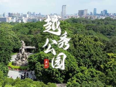 越秀公园：300年古树与“一座城”的守望｜由来是广州