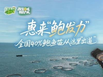 揭阳惠来“鲍发力”！全国40%鲍鱼苗从这里“出道”｜粤来粤好百千万