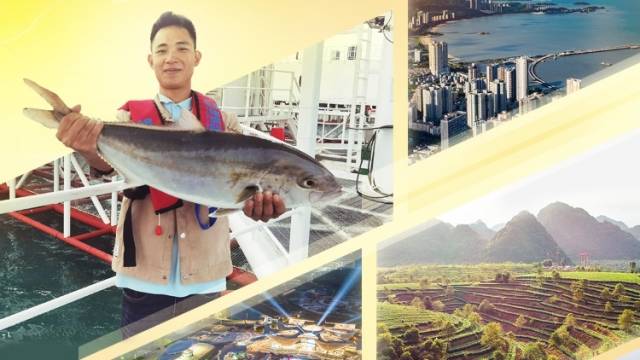 祝贺！“粤来粤好百千万”爆款大赛238件作品入围