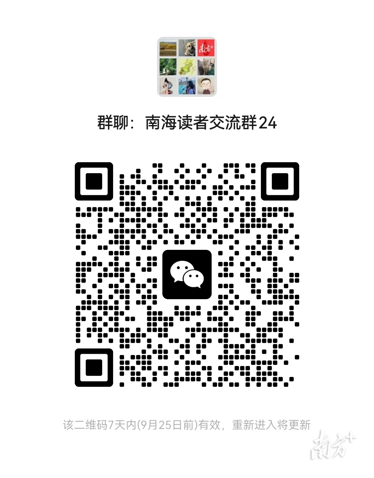 二维码。  南方+ 孙景锋 拍摄