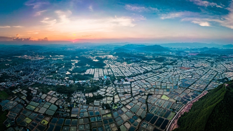 广东省庆祝2025年中国农民丰收节主会场活动将在肇庆高要举行