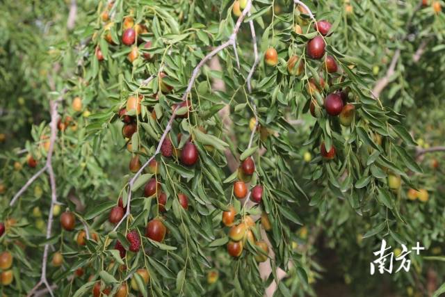 迈阿密国际控股(MIAX.US)成功上市，美股开盘股价大涨超38%