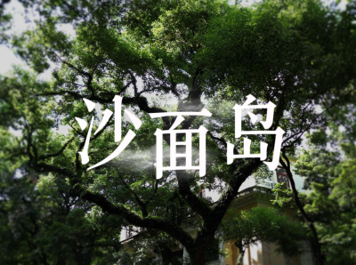 沙面岛：寻找城市“绿光”，探究拾翠古树｜由来是广州
