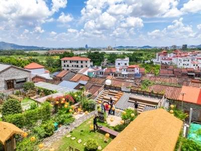 庆祝农民丰收节，今年广东主会场为何定在肇庆高要？