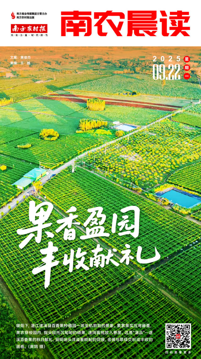 南方农村报 李嘉镓 制图