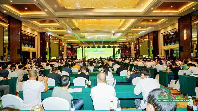 南方农村报 王富迪 拍摄