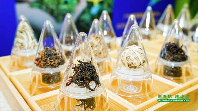 南方农村报 王富迪 拍摄