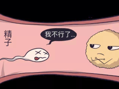 弱精症男生自救指南：你的