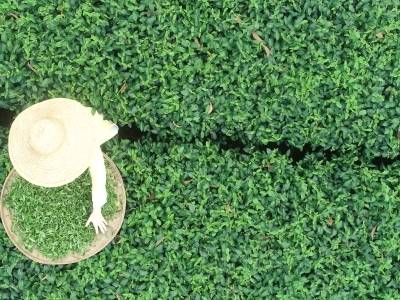 品岭南味，赴宁夏之约！广东展团200+好物亮相银川绿博会、有机博览会