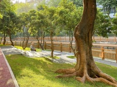 “三脉”通融：驷马涌水脉青绿，西华路动静宜人｜全运年 看广州