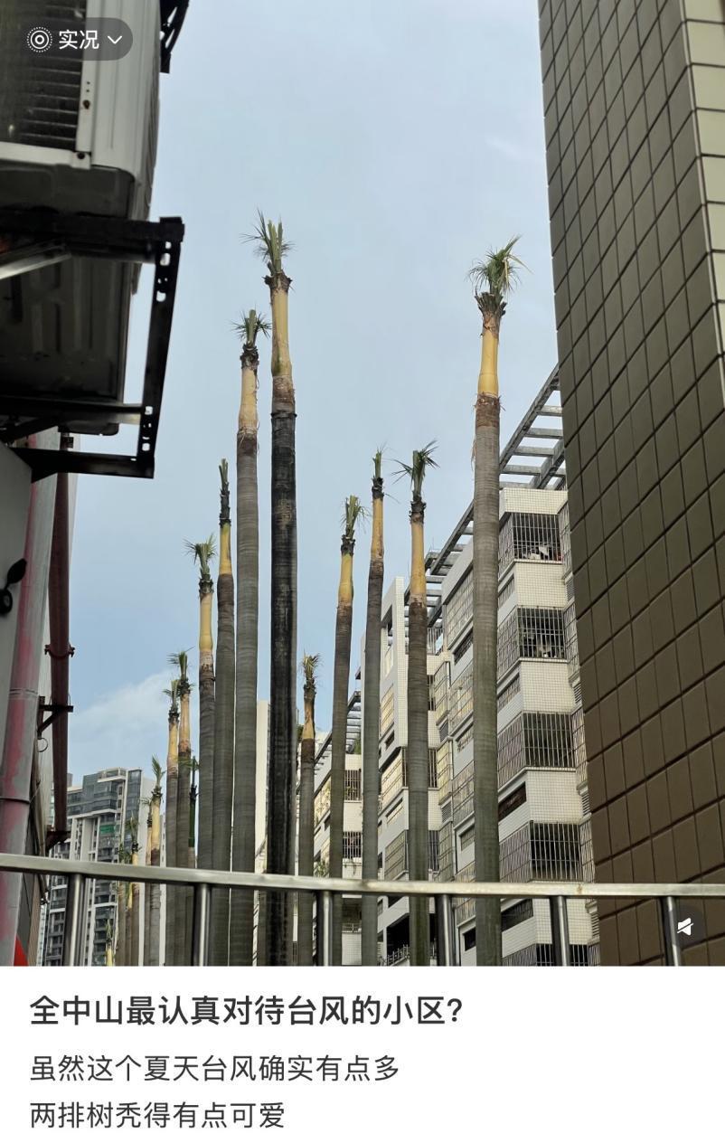 风王”桦加沙步步逼近，东莞人的台风天应急手册来了