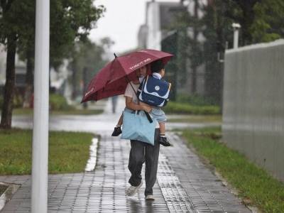 紧急通知！惠州全市学校、幼儿园、培训机构明后天停课