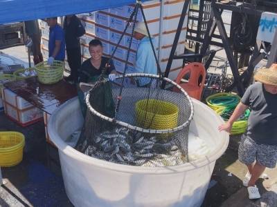 景区关停渔船归，深水网箱抢收急……阳江全力防御“桦加沙”